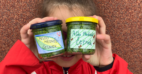 Pesto z medvědího česneku