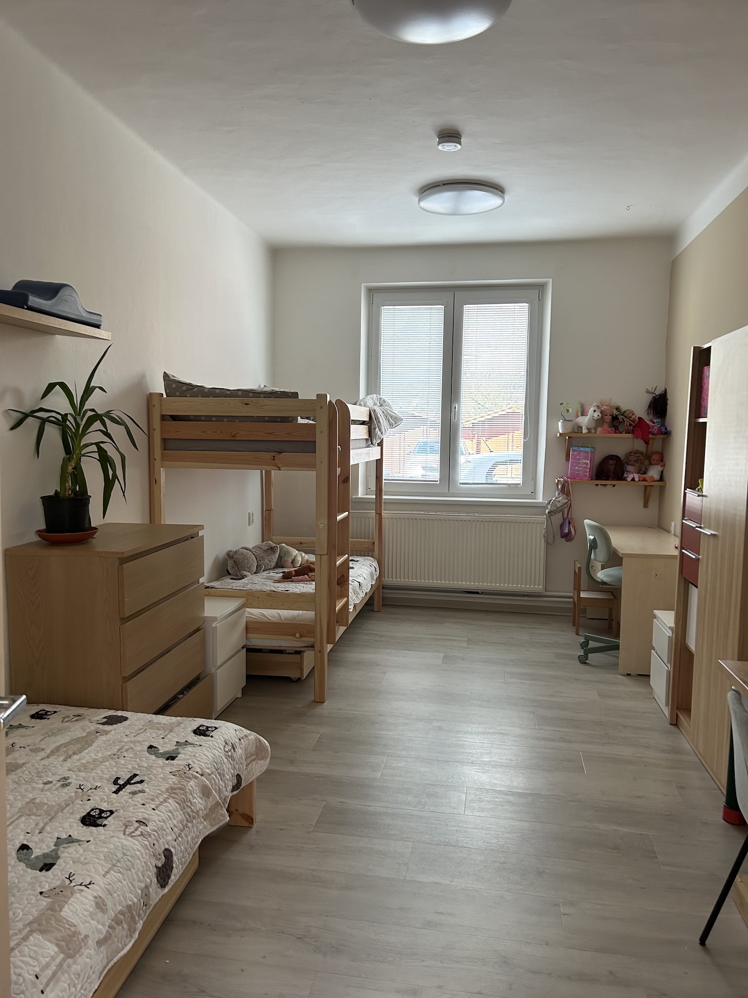 4. rodinná skupina